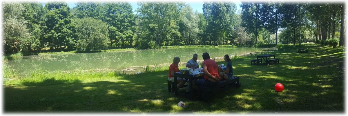 camping aire de pique-nique