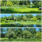 verdoyant-activite-10