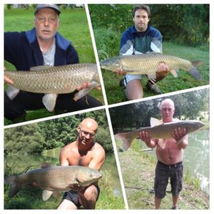 Les carpes "amour"